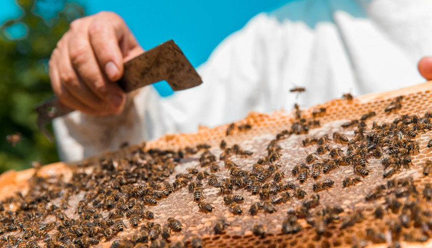 ASN São Paulo - Agência Sebrae de Notícias