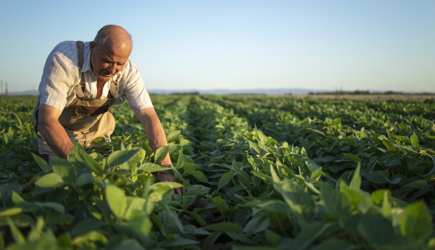 ASN São Paulo - Agência Sebrae de Notícias