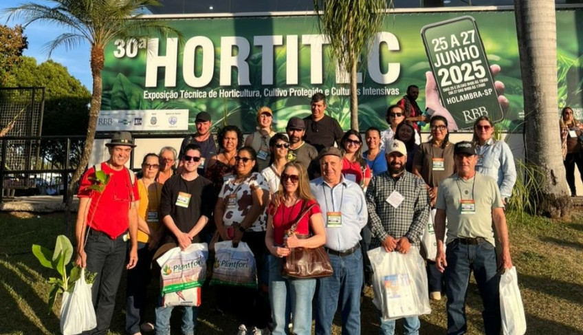 ASN São Paulo - Agência Sebrae de Notícias