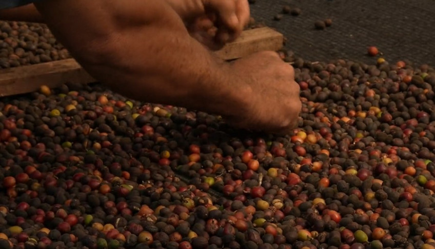 ASN São Paulo - Agência Sebrae de Notícias