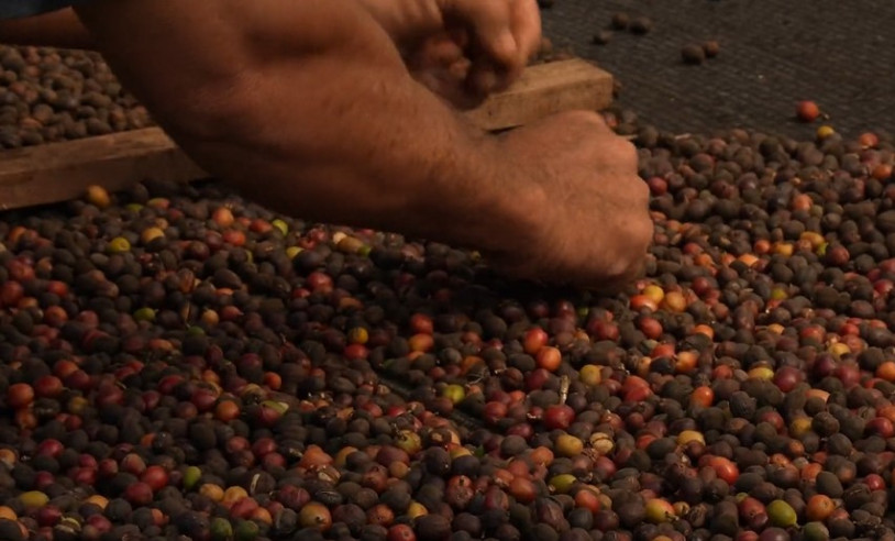 ASN São Paulo - Agência Sebrae de Notícias