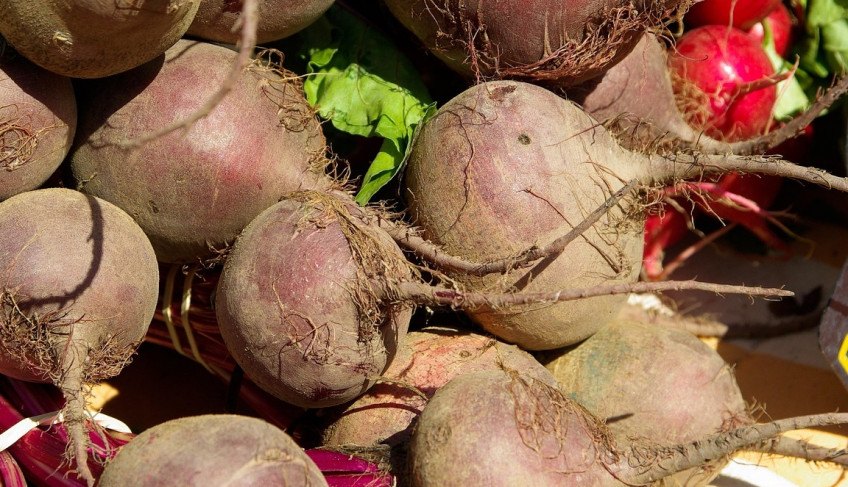 ASN São Paulo - Agência Sebrae de Notícias