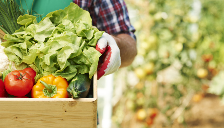 ASN São Paulo - Agência Sebrae de Notícias
