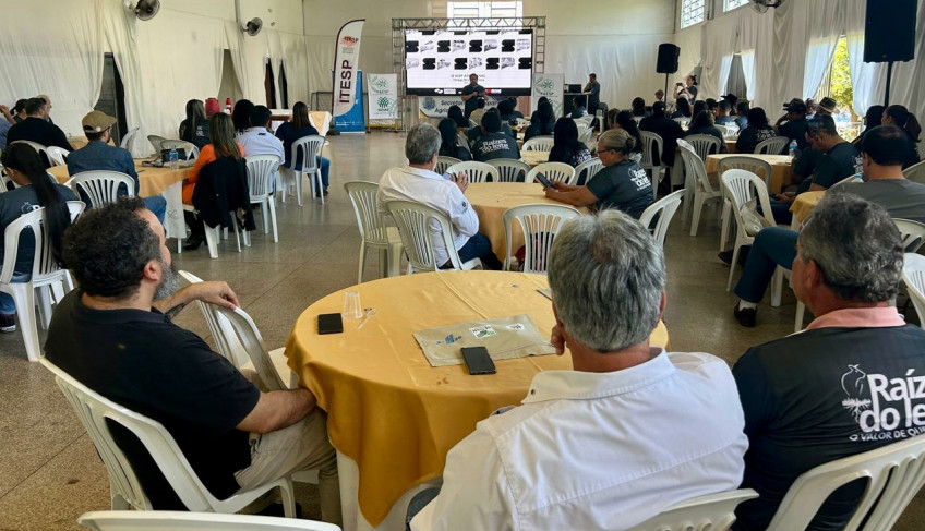 ASN São Paulo - Agência Sebrae de Notícias