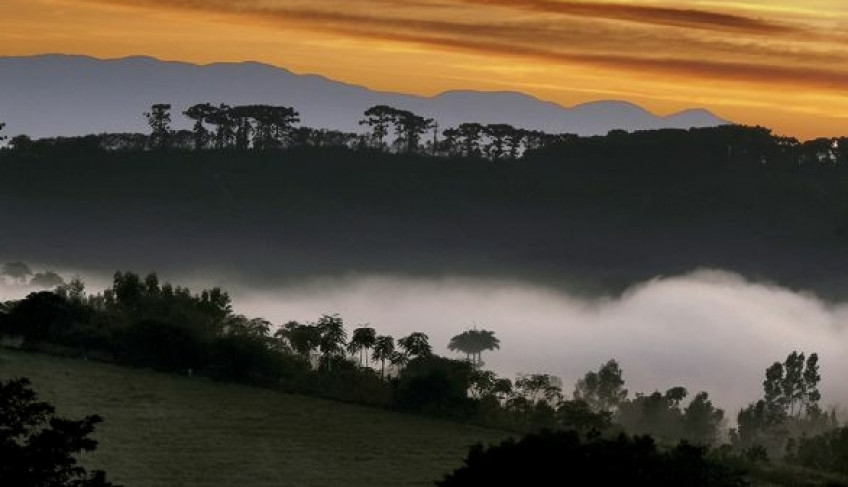 ASN São Paulo - Agência Sebrae de Notícias