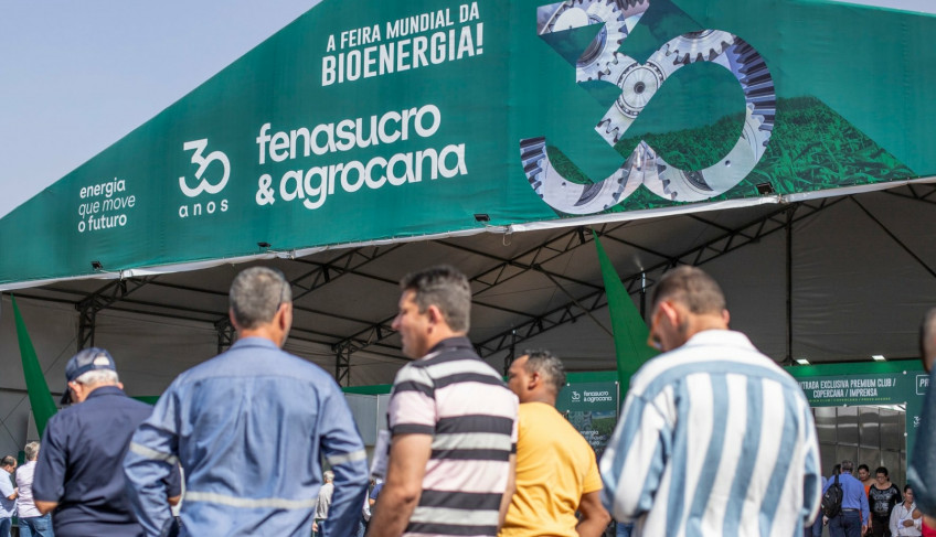 ASN São Paulo - Agência Sebrae de Notícias