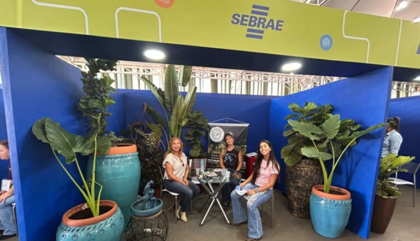 ASN São Paulo - Agência Sebrae de Notícias