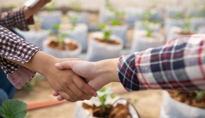 ASN São Paulo - Agência Sebrae de Notícias