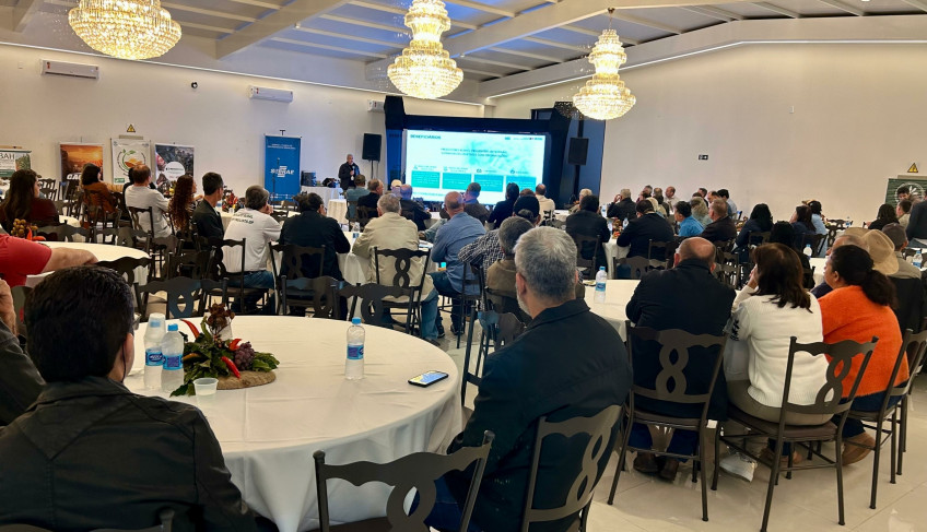 ASN São Paulo - Agência Sebrae de Notícias