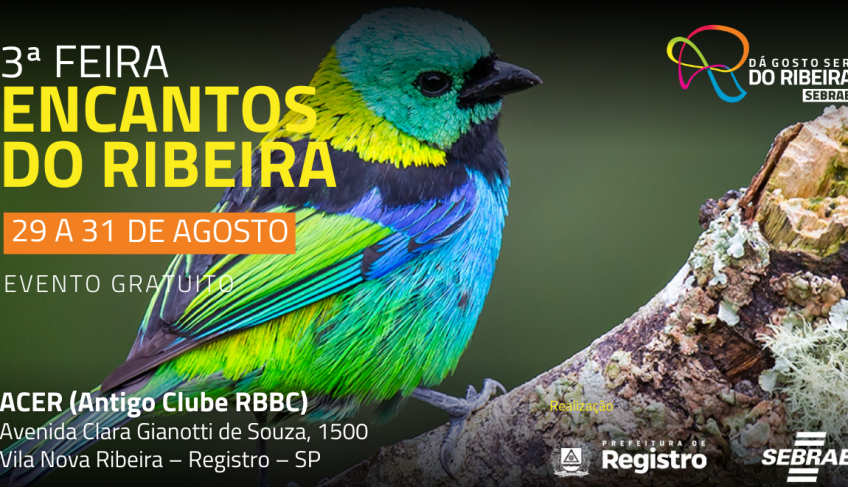 ASN São Paulo - Agência Sebrae de Notícias