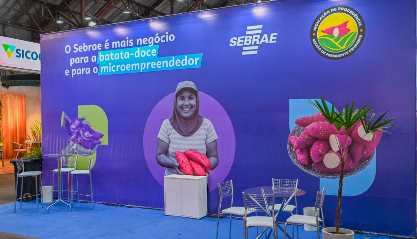ASN São Paulo - Agência Sebrae de Notícias