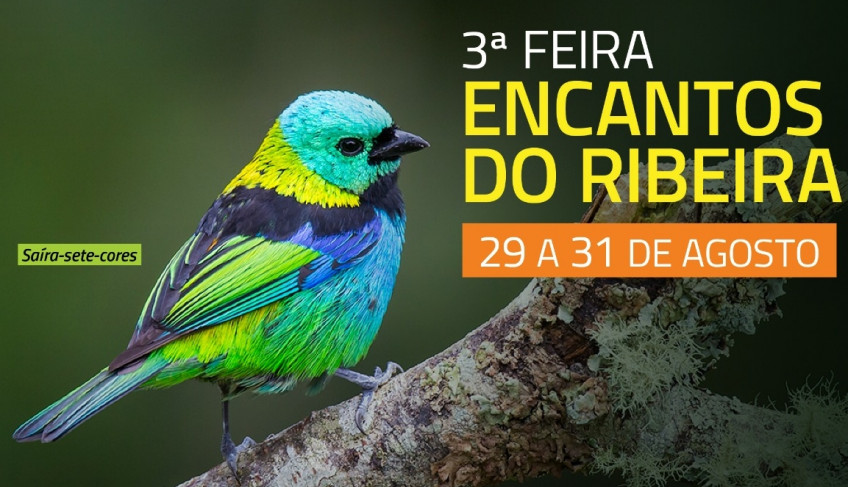 ASN São Paulo - Agência Sebrae de Notícias