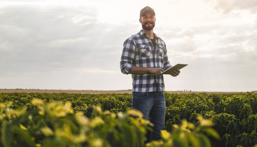 ASN São Paulo - Agência Sebrae de Notícias