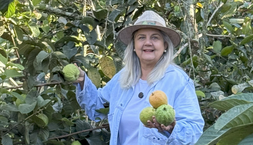 ASN São Paulo - Agência Sebrae de Notícias