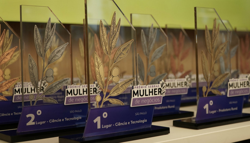 ASN São Paulo - Agência Sebrae de Notícias