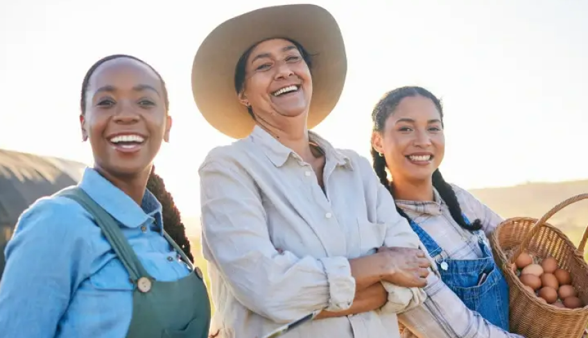 ASN São Paulo - Agência Sebrae de Notícias