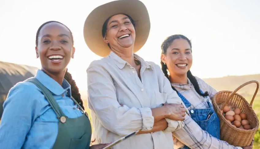 ASN São Paulo - Agência Sebrae de Notícias