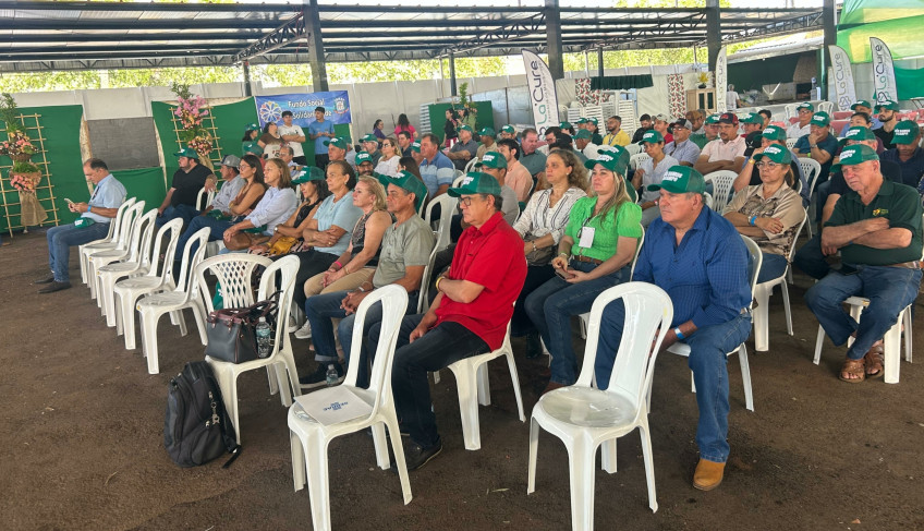 ASN São Paulo - Agência Sebrae de Notícias