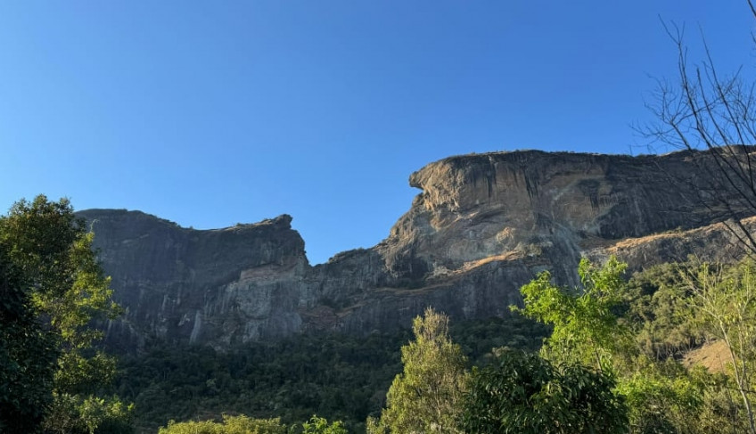 ASN São Paulo - Agência Sebrae de Notícias