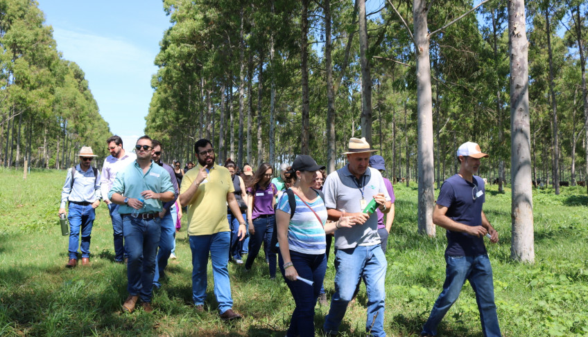 ASN São Paulo - Agência Sebrae de Notícias