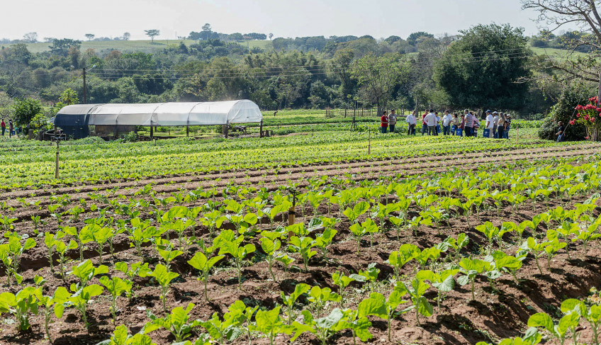 ASN São Paulo - Agência Sebrae de Notícias