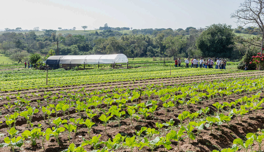 ASN São Paulo - Agência Sebrae de Notícias