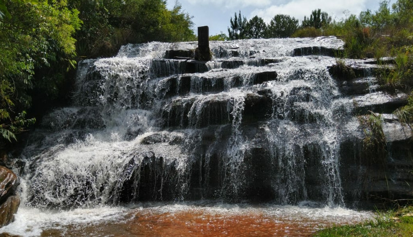 ASN São Paulo - Agência Sebrae de Notícias