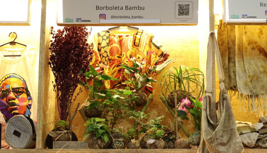 ASN São Paulo - Agência Sebrae de Notícias