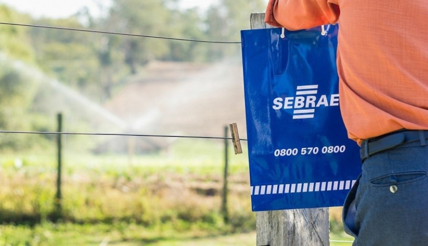 ASN São Paulo - Agência Sebrae de Notícias