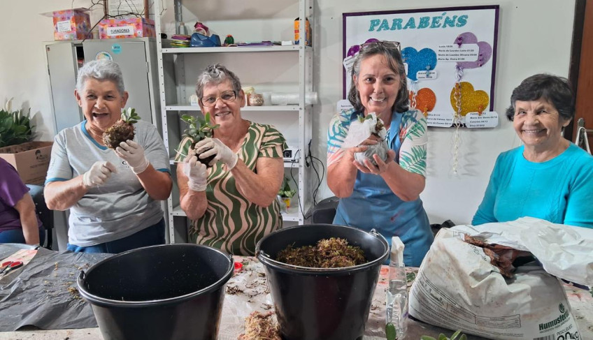 ASN São Paulo - Agência Sebrae de Notícias