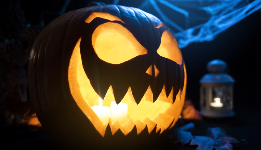 ASN São Paulo - Agência Sebrae de Notícias