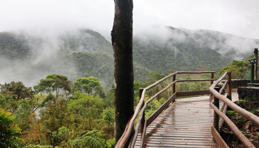ASN São Paulo - Agência Sebrae de Notícias