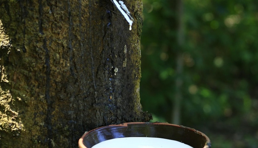 ASN São Paulo - Agência Sebrae de Notícias