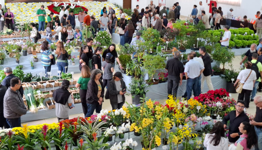 ASN São Paulo - Agência Sebrae de Notícias