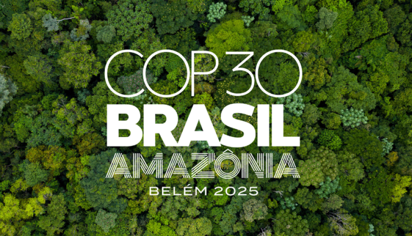 ASN São Paulo - Agência Sebrae de Notícias