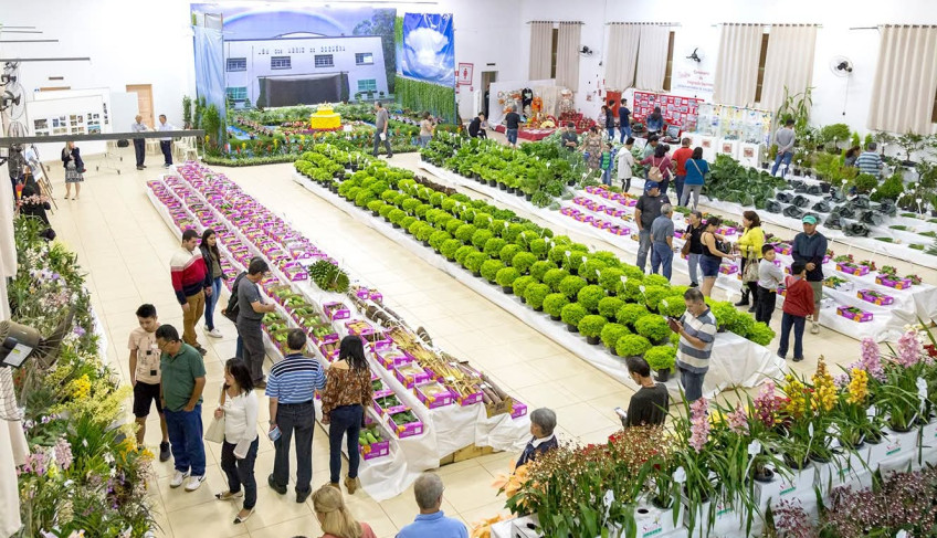 ASN São Paulo - Agência Sebrae de Notícias