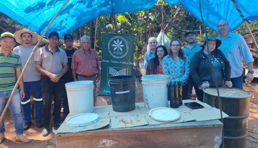 ASN São Paulo - Agência Sebrae de Notícias