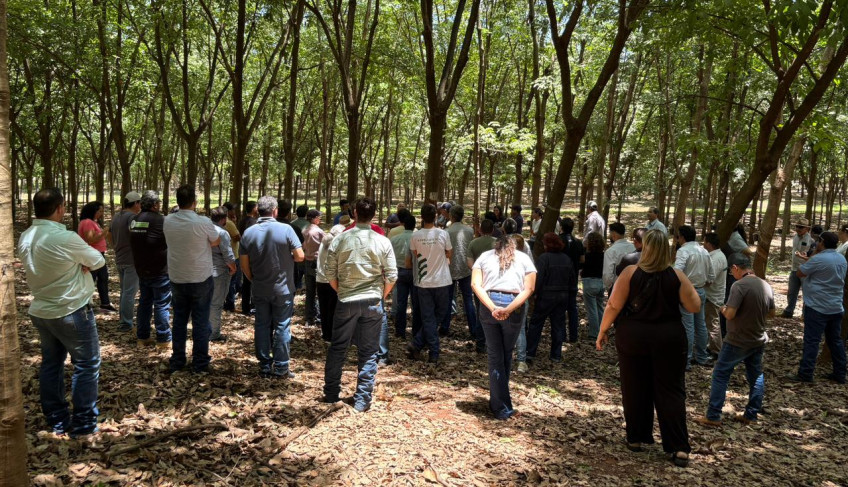 ASN São Paulo - Agência Sebrae de Notícias
