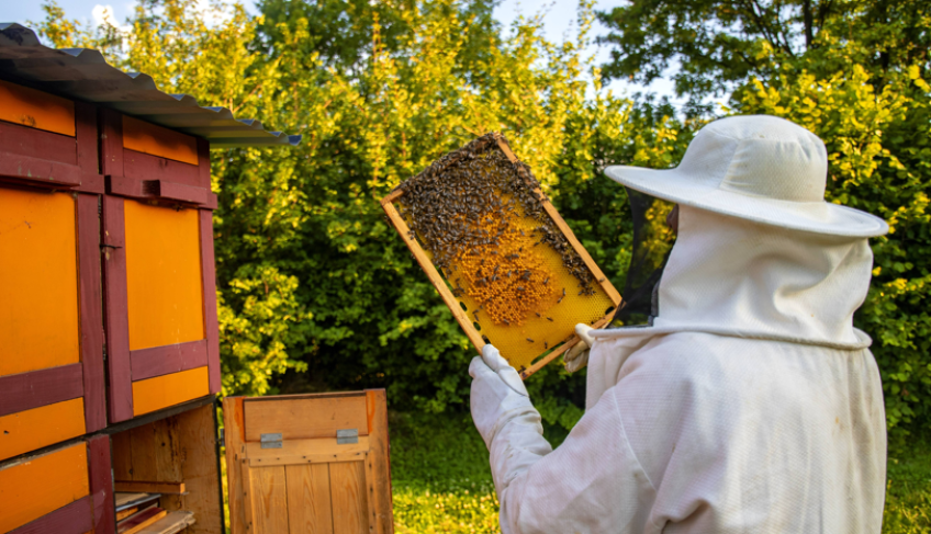ASN São Paulo - Agência Sebrae de Notícias