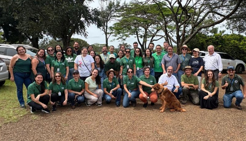 ASN São Paulo - Agência Sebrae de Notícias