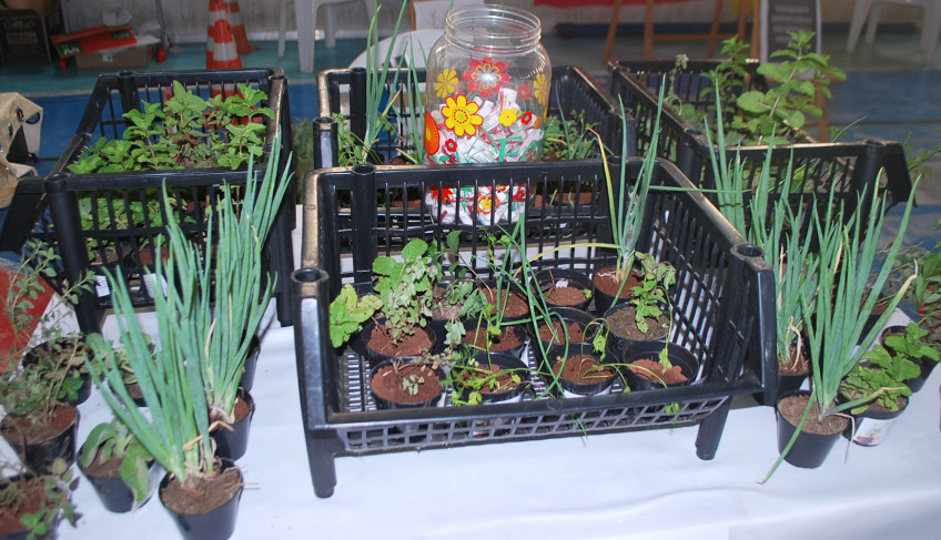 ASN São Paulo - Agência Sebrae de Notícias