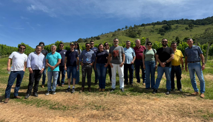 ASN São Paulo - Agência Sebrae de Notícias