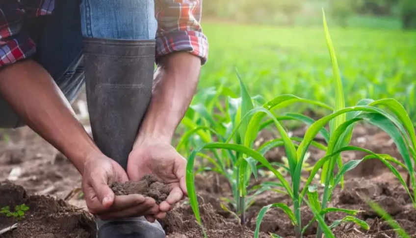 ASN São Paulo - Agência Sebrae de Notícias