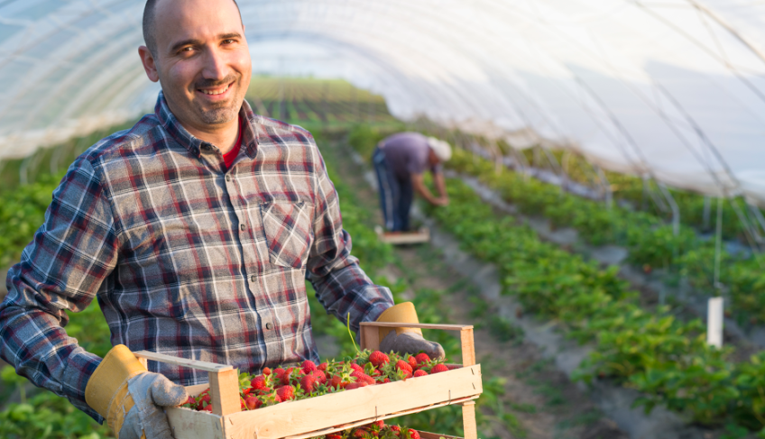 ASN São Paulo - Agência Sebrae de Notícias
