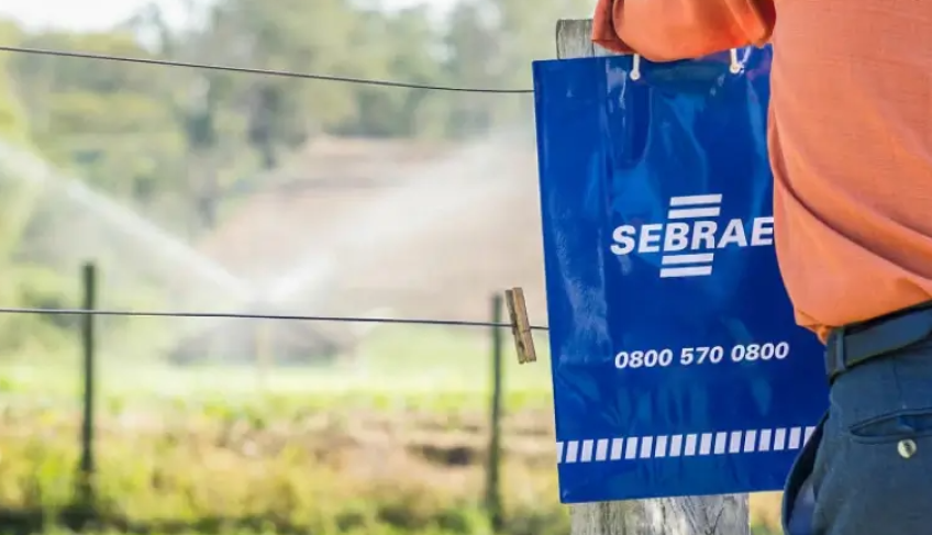 ASN São Paulo - Agência Sebrae de Notícias