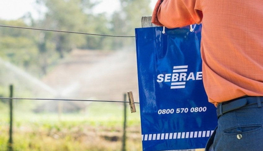 ASN São Paulo - Agência Sebrae de Notícias