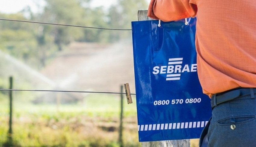 ASN São Paulo - Agência Sebrae de Notícias