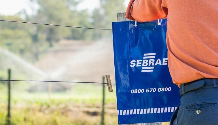 ASN São Paulo - Agência Sebrae de Notícias