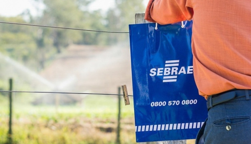 ASN São Paulo - Agência Sebrae de Notícias