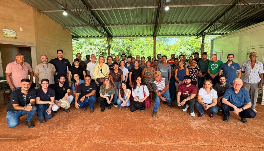 ASN São Paulo - Agência Sebrae de Notícias